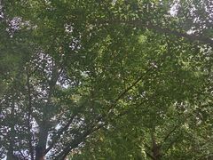 -双和顺-清真(灯市口西街店)