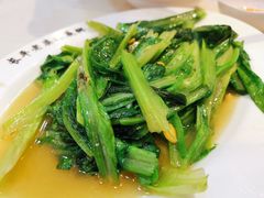 -长平老姿娘夜粥(平东一街店)