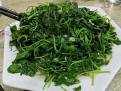-品雅轩农家乐