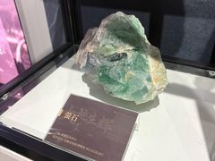 -安徽省地质博物馆