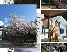 -北京工商大学(阜成路校区)
