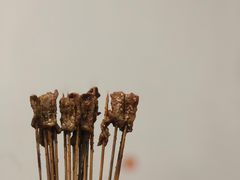 -泽红夜宵