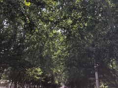 -河南省黄河迎宾馆