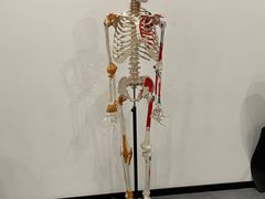 -沁欣堂推拿艾灸