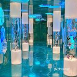 预测会是杭州下一个约会餐厅顶流……