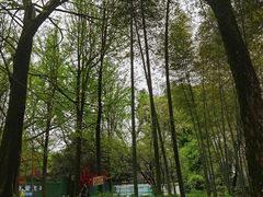 -西湖风景区十里琅珰-五云山