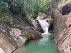 -广州白江湖森林公园