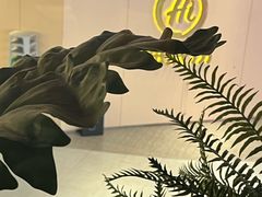 -海底捞火锅(航洋城店)