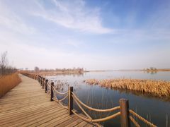 -野鸭湖国家湿地公园