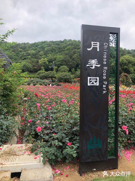 龙寺生态园图片