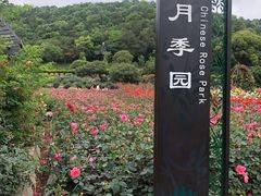 -龙寺生态园