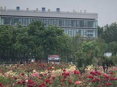 -廊坊文化艺术中心