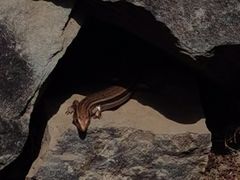 -鹫峰国家森林公园