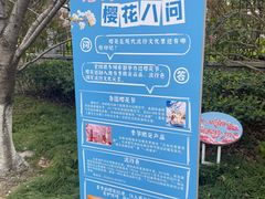 -高东镇樱花园
