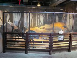 -酷嗒动物文化乐园(cutezoo西溪乐天城店)