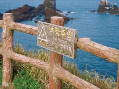 -涉地可支