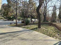 -迎泽公园