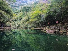 -白云源风景区