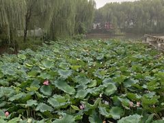 -绍兴鉴湖君澜大酒店