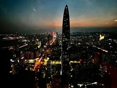 -深圳市当代艺术与城市规划馆