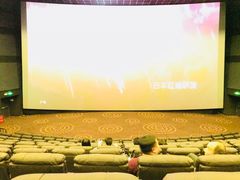 放映厅-万达影城(新乡万达广场IMAX店)