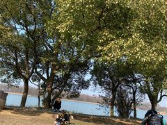-东湖落雁景区