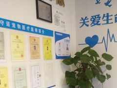 -守诺宠物医院·眼科· 特色牙科·异宠专科(虹口店)