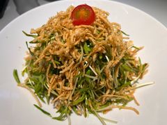 空心菜苗-打酱油·非遗淮扬菜(瘦西湖梅岭店)