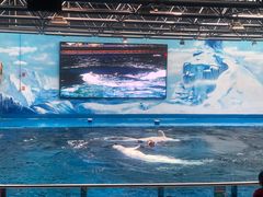 -石林冰雪海洋世界