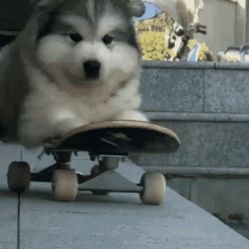 -美最美健康管理中心