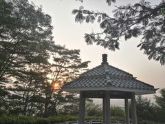 -广州国际生物岛山地公园揽胜园