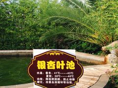 -大理地热国