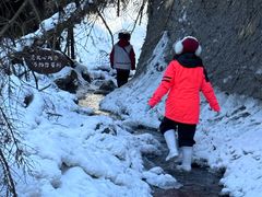 -峡谷浮石林景区