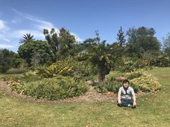 -墨尔本皇家植物园