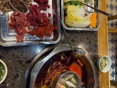 -金鼎雪山牦牛杂火锅(理县总店)