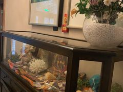 -开海·红岛海鲜虾水饺(石老人店)