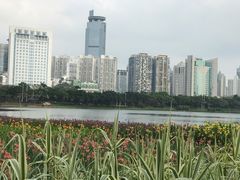 -南宁南湖公园