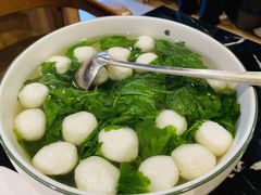 -丁老爷子苏香圆