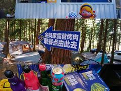 -重庆睡佛山森林公园