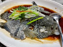 清蒸花斑-九记路边鸡(穗盐路店)