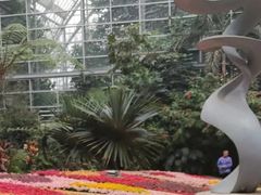 -南山植物园