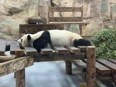 -无锡动物园·太湖欢乐园