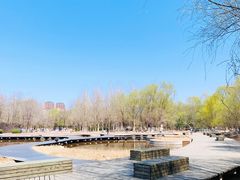 -长白岛森林公园