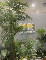 -八佰伴8008星级形象店