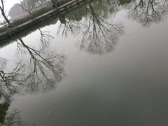 -西湖外事游船(花港观鱼码头)