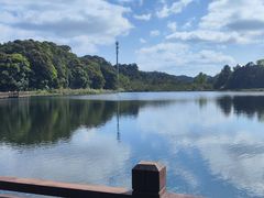 -海南热带雨林国家公园吊罗山景区