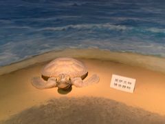 -嘉定博物馆