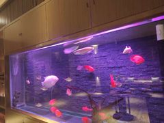 -手佳·水疗汇(嘉益店)