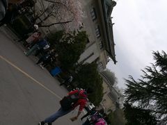 -武汉大学-樱园