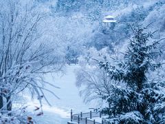 -九如山休闲旅游度假区